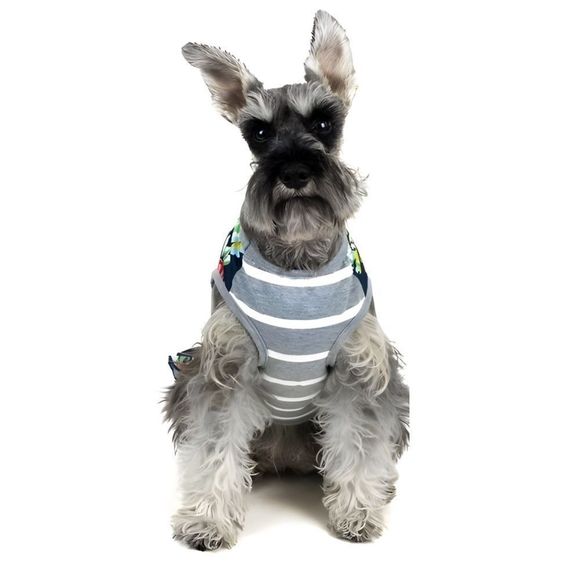 NWT Vibrant Life Dog Tank Dress - Picture 2 of 12